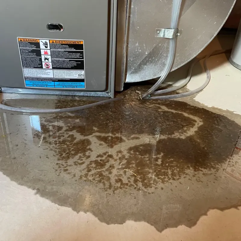 Appliance Leak Cleanup in Ephraim, UT