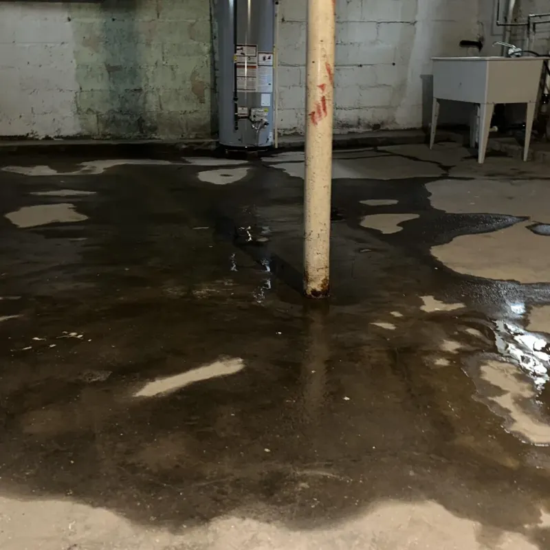 Emergency Water Extraction And Removal in Ephraim, UT